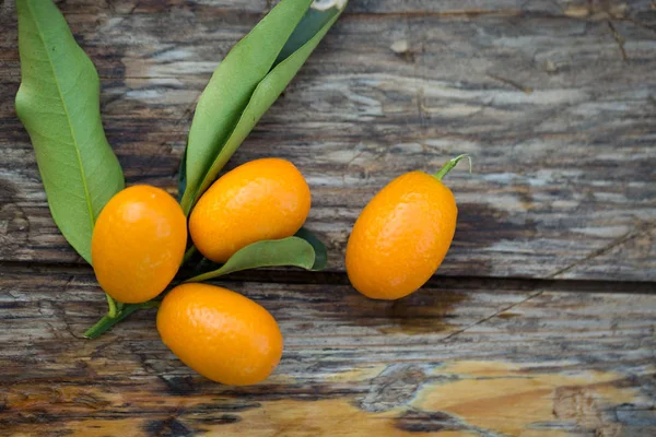 Bund Kumquat-Früchte — Stockfoto