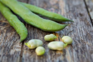 Ham Fava fasulye