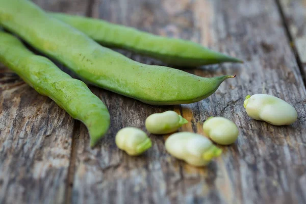 Raw fava beans — Stock Photo, Image