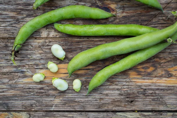 Frijoles Fava crudos —  Fotos de Stock