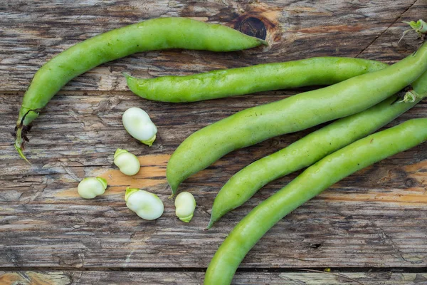 Syrové fazole Fava — Stock fotografie