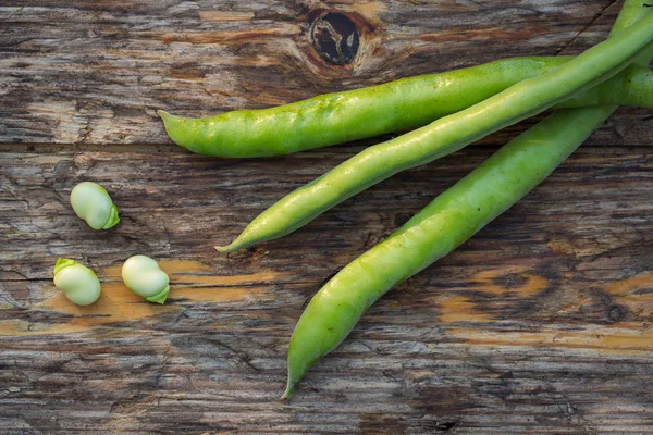 Raw fava beans — Stock Photo, Image