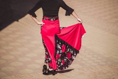 Flamenko dansçısı: Sevilla