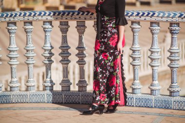 Flamenko dansçısı: Sevilla