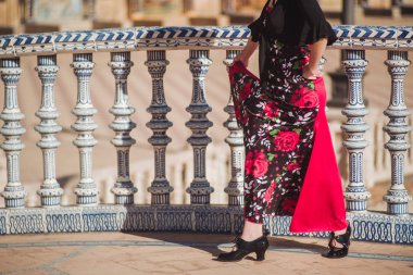 Flamenko dansçısı: Sevilla