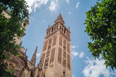 Sevilla, Andalusia Giralda Kulesi
