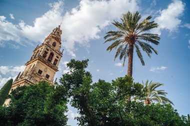 Endülüs, Cordoba