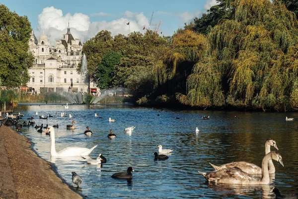 Saint James's park i London city — Stockfoto