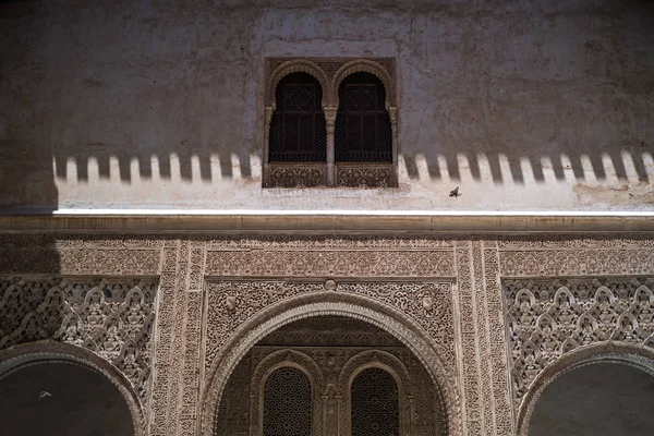 Flor de loto en el Alcázar — Foto de Stock