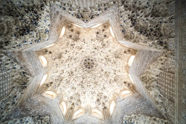 Fleur de lotus dans l'Alcazar — Photo