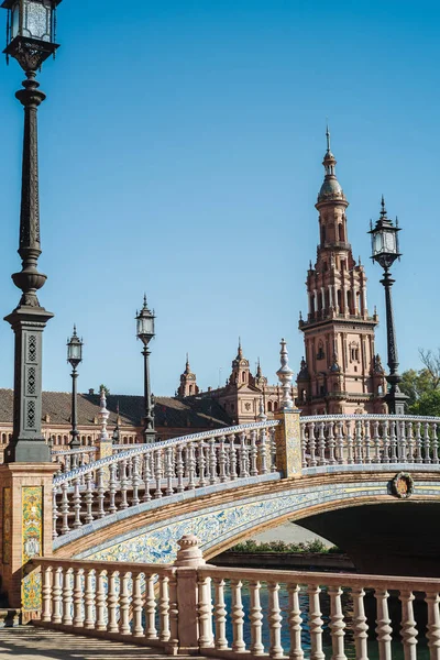 Fleur de lotus dans l'Alcazar — Photo