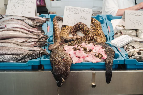 Frutos do mar em Cádiz — Fotografia de Stock