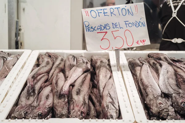 Frutos do mar em Cádiz — Fotografia de Stock