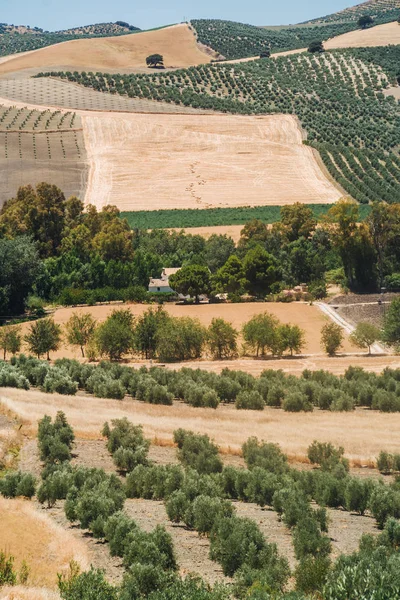 Landskapet i Andalusien, Spanien — Stockfoto