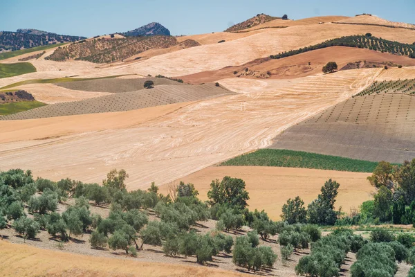 Landscapes of Andalusia, Spain — Stock Photo, Image