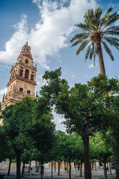 A Mezquita-mecsettől, Cordoba — Stock Fotó