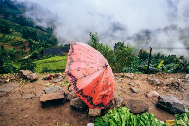 Sapa, Vietnam sokak satıcısı