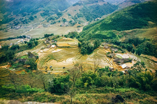 Sapa, Kuzey Vietnam