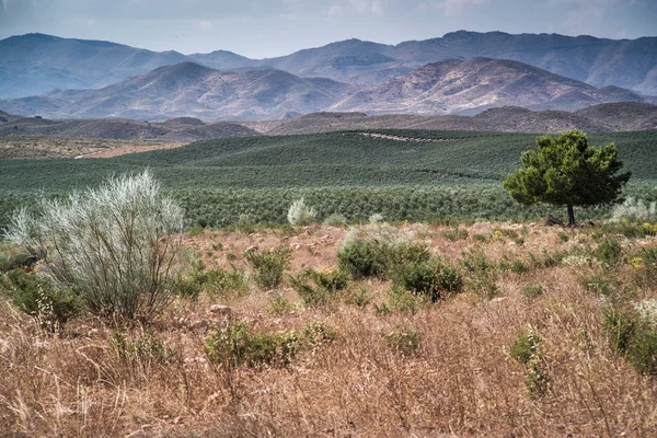 Deserto di Tabernas — Foto Stock