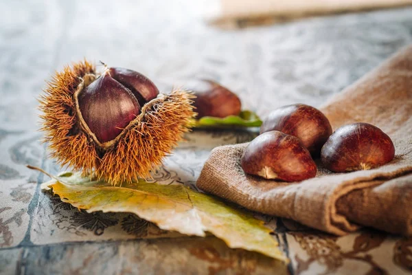 Frische rohe Kastanien — Stockfoto