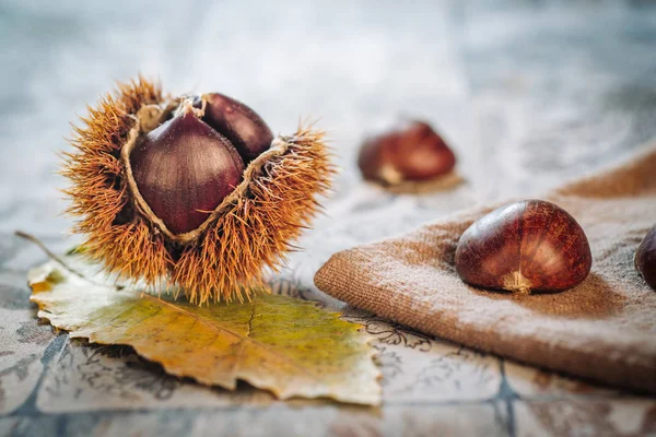 stock image Fresh raw chestnuts