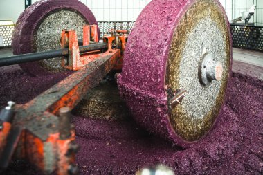 Zeytin yağı yapımı