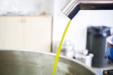Zeytin yağı yapımı