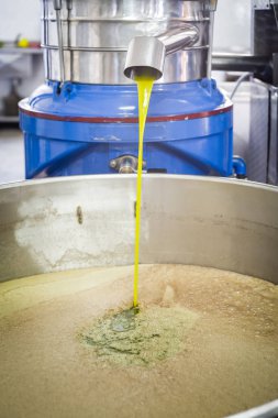 Zeytin yağı yapımı