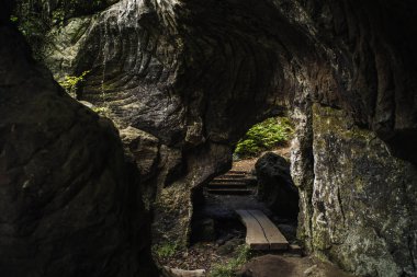 Lüksemburg Berdorf orman