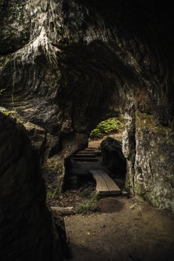 Lüksemburg Berdorf orman
