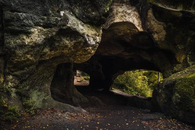 Lüksemburg Berdorf orman
