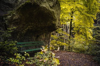 Lüksemburg Berdorf orman