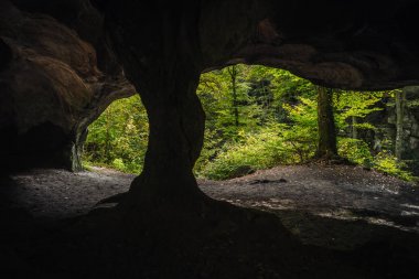 Lüksemburg Berdorf orman