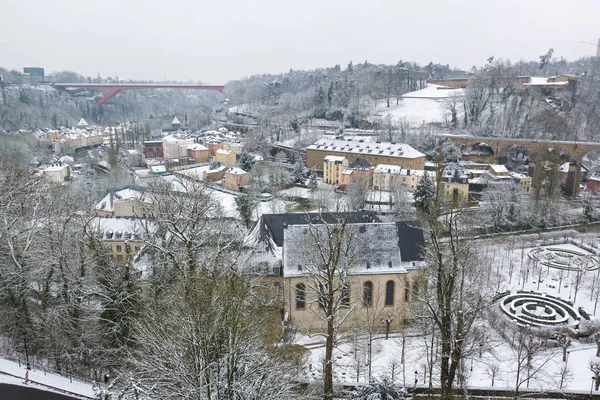 Śliczny biały Luksemburg — Zdjęcie stockowe