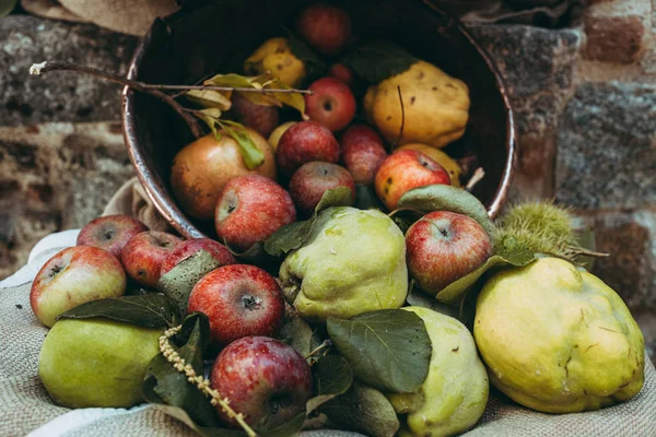 Sortimento de frutos frescos crus sazonais do Outono — Fotografia de Stock