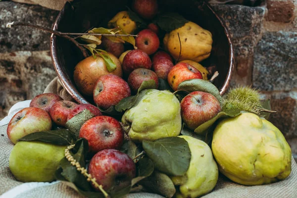 Assortiment de fruits frais crus de saison d'automne — Photo