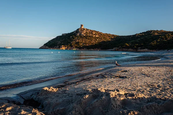 Villasimius, italien / oktober 2019: der wunderschöne strand von porto — Stockfoto