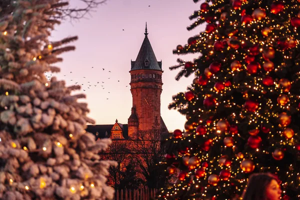 Luxembourg City / December 2019: Святкування різдвяного часу — стокове фото