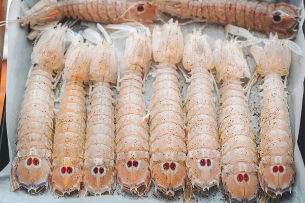 Delicious fresh Mantis Shrimps from the adriatic sea in Puglia, — Stock Photo, Image