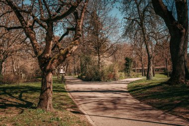 LUXEMBOURG ŞEHRİ / APRIL 2020: Coronavirus küresel acil durumlarında kamu parkları kapatıldı