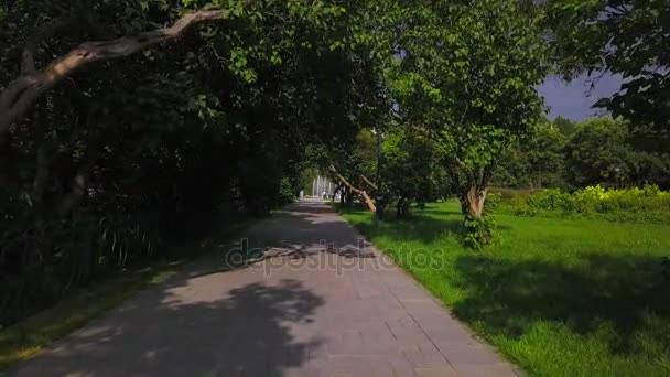 相机打扮槽一个公园胡同 — 图库视频影像