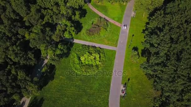 Landschaft Stadtpark Luftaufnahme Sommertag — Stockvideo