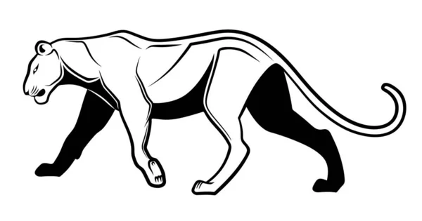 Black White Puma — Stock Vector