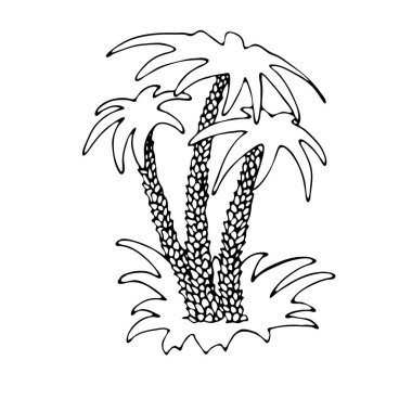 palmiye ağaçları ile ada.  