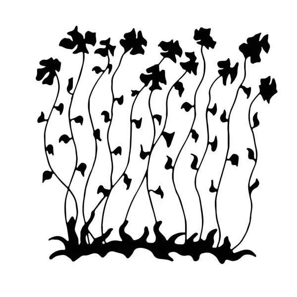 Bosquejo de flores largas  . — Vector de stock