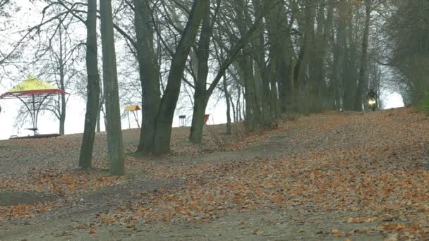 Motocycliste Promenades Travers Les Bois Homme Monte Rapidement Sur Une — Video