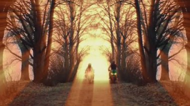 Motosikletliler, bir adam ve bir kız, ormandan geçiyorlar. Sonbahar puslu