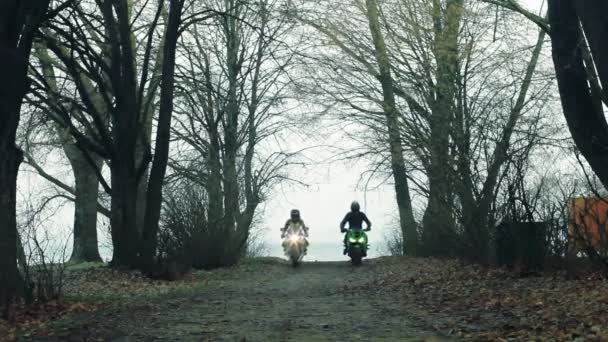 Motociclistas Tipo Uma Rapariga Atravessar Floresta Outono Nebuloso — Vídeo de Stock