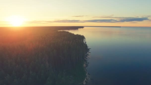 Vuelo sobre aguas tranquilas y bosques — Vídeo de stock