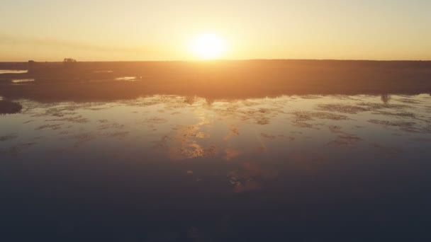 Vlucht over de rivier in zonsondergang zacht licht — Stockvideo